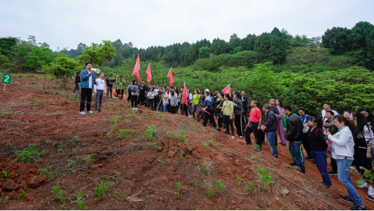 省F6福鹿会集团开展龙泉山都会森林公园 “包山头”植树运动